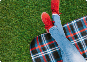 Read more about the article Cum alegi gazonul potrivit curții tale?