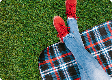 You are currently viewing Cum alegi gazonul potrivit curții tale?