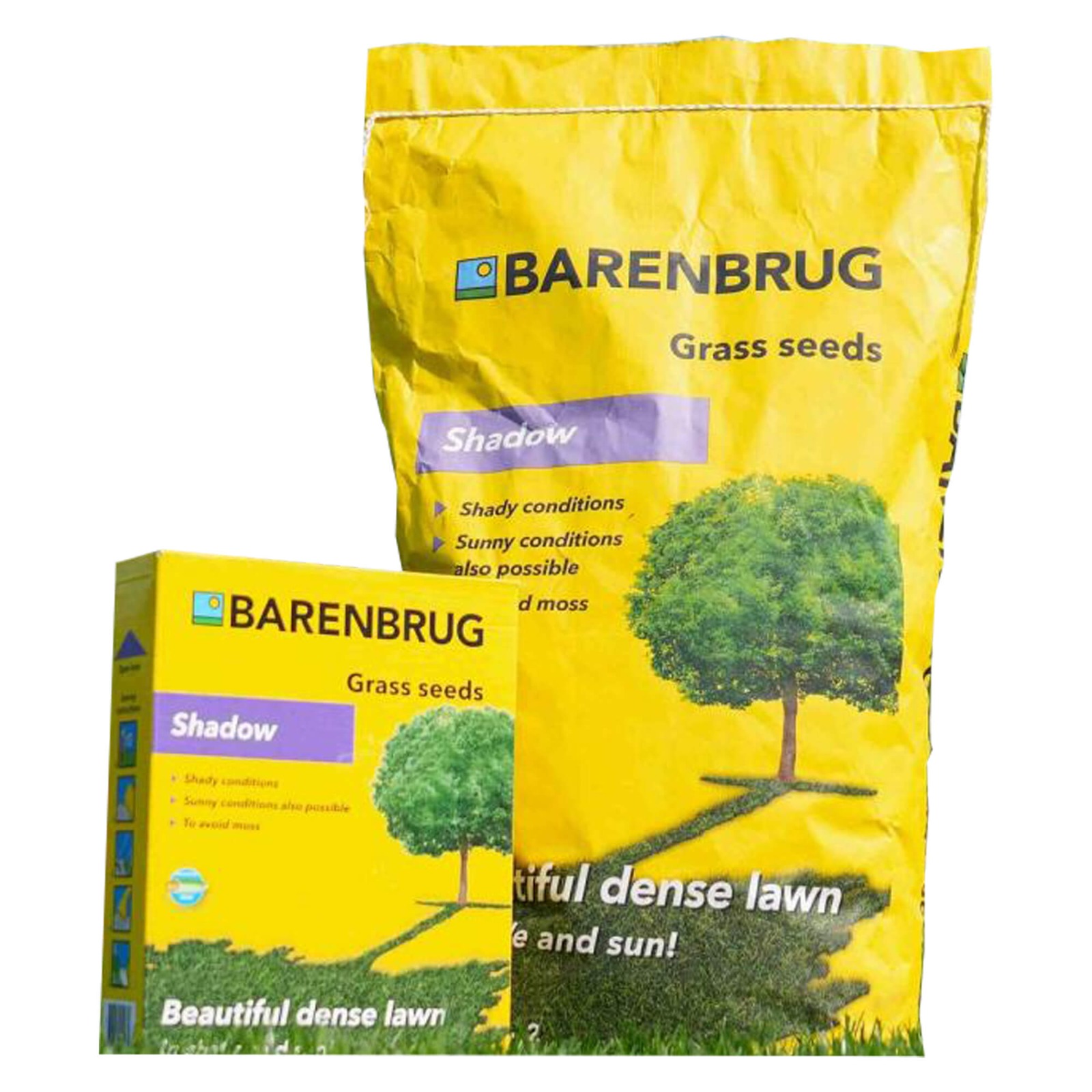 Barenbrug Shadow (Umbra)