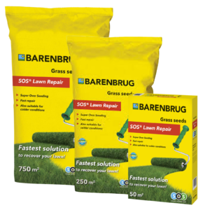 Seminte de gazon Barenbrug SOS Lawn